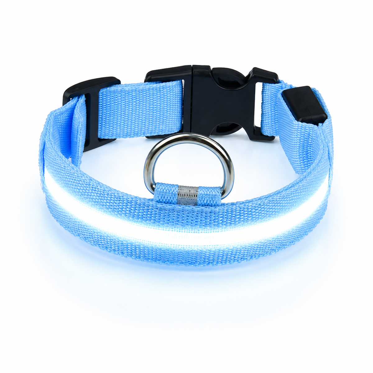Collier LED rechargeable pour chien