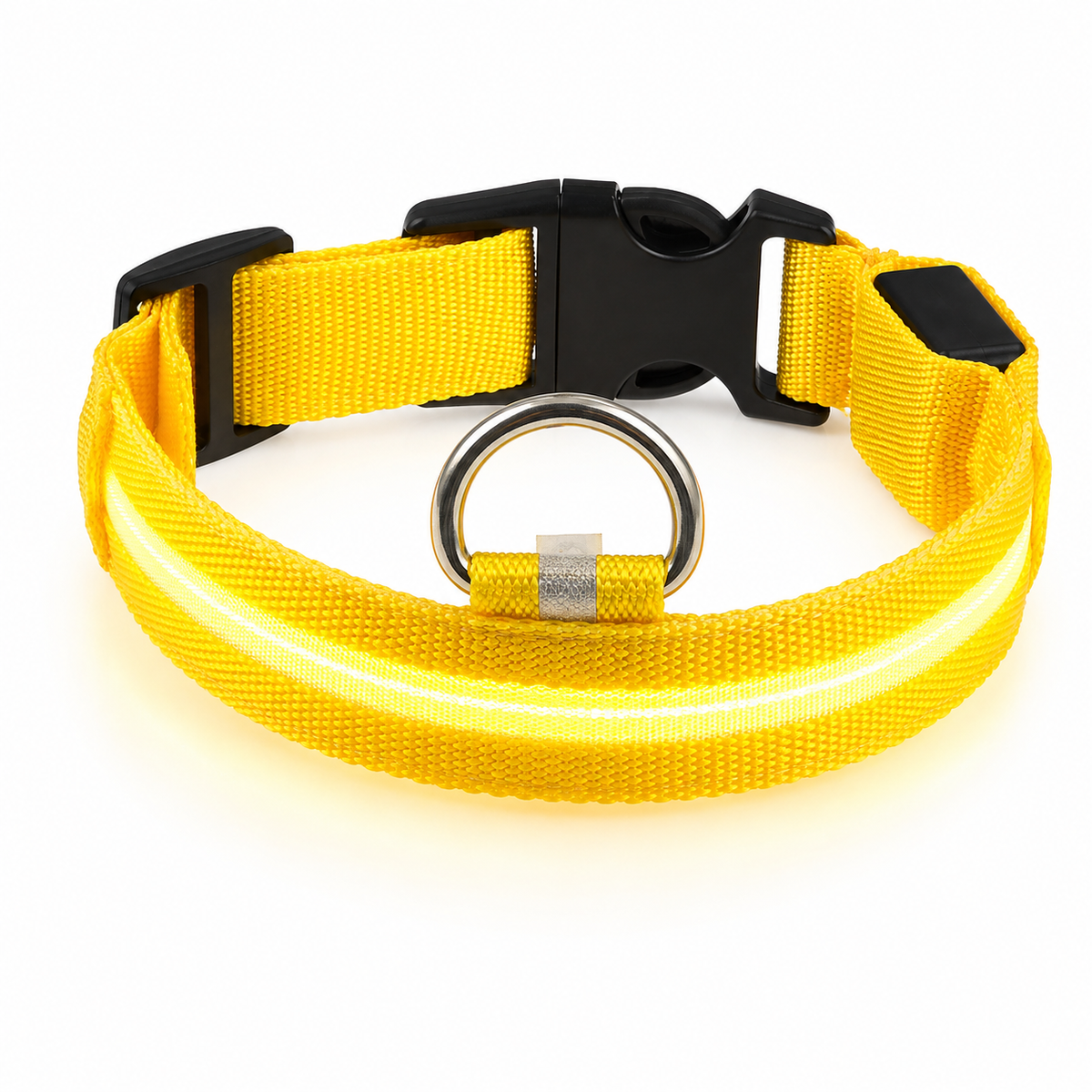 Collier LED rechargeable pour chien