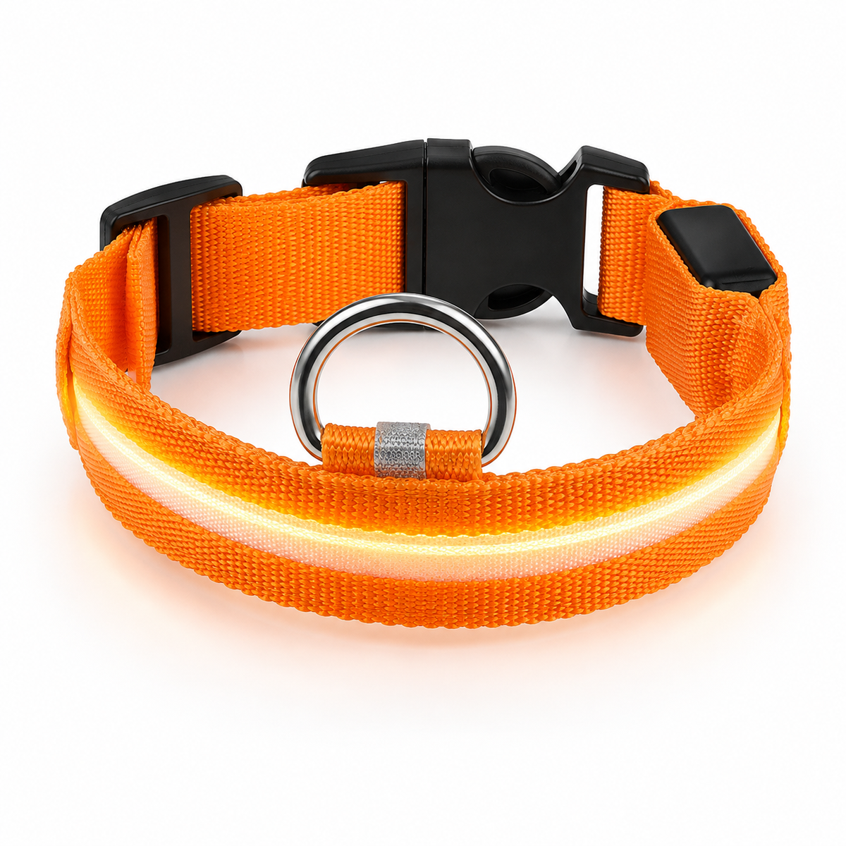 Collier LED rechargeable pour chien