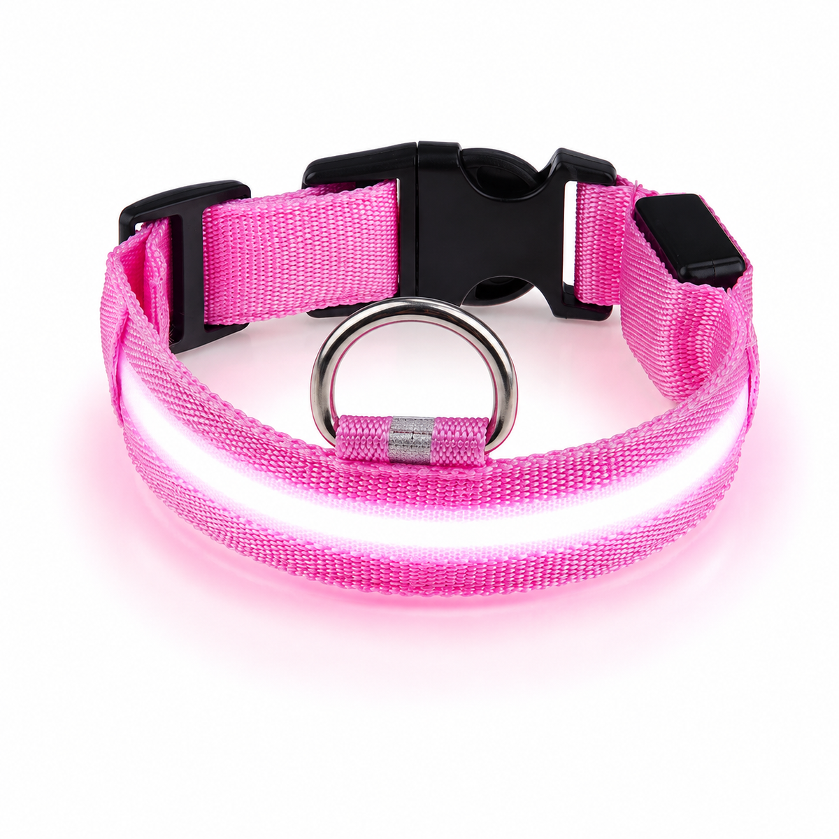 Collier LED rechargeable pour chien