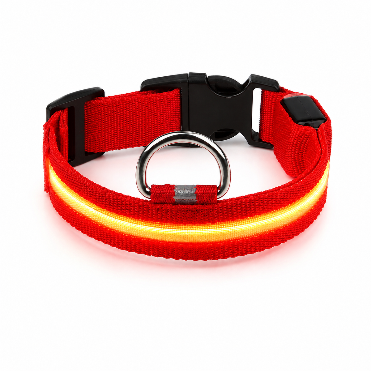 Collier LED rechargeable pour chien