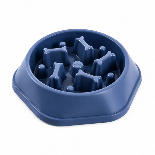 Gamelle Anti-Glouton pour Chien